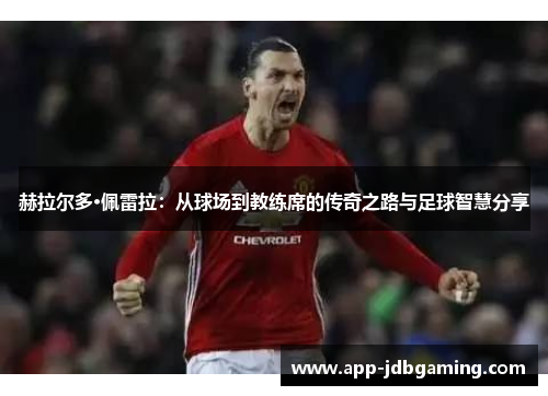 赫拉尔多·佩雷拉：从球场到教练席的传奇之路与足球智慧分享